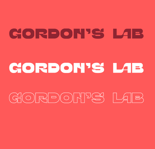Gordon's Lab